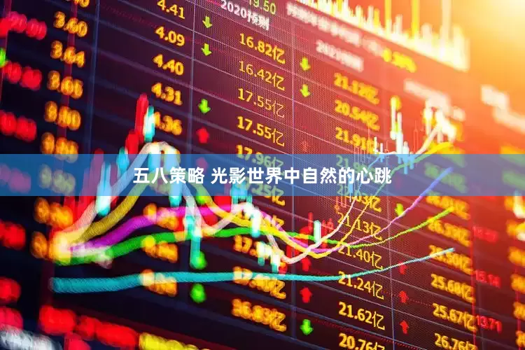 五八策略 光影世界中自然的心跳