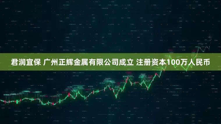 君润宜保 广州正辉金属有限公司成立 注册资本100万人民币