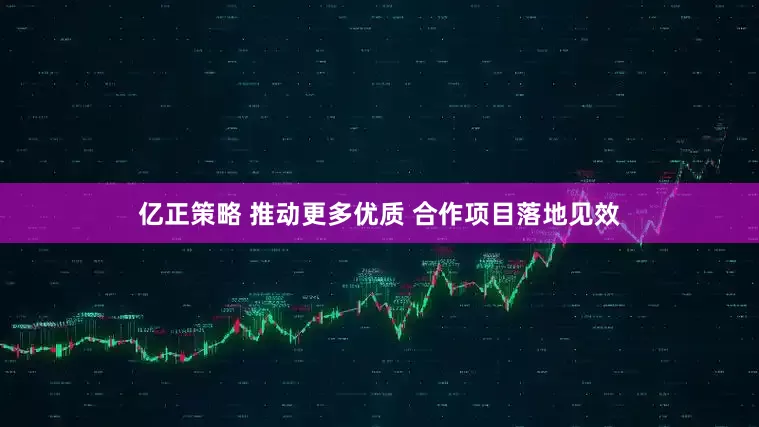 亿正策略 推动更多优质 合作项目落地见效